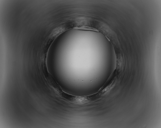 X0000088490333200705221432