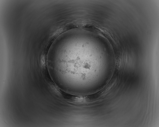X0000088490335200705221432