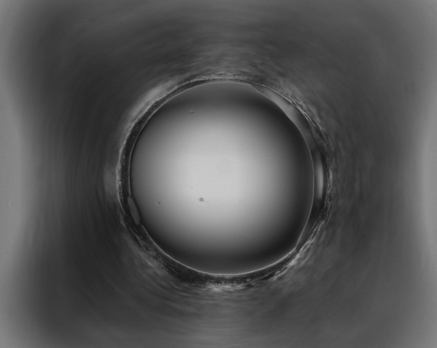 X0000088490340200705221431