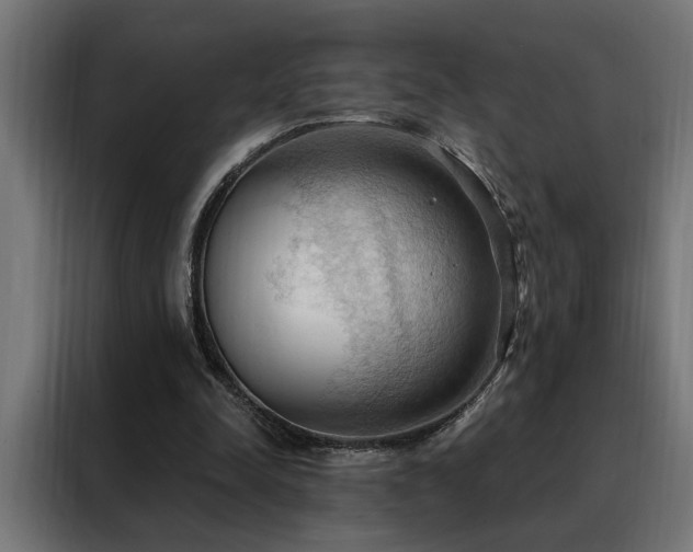X0000088490342200705221431