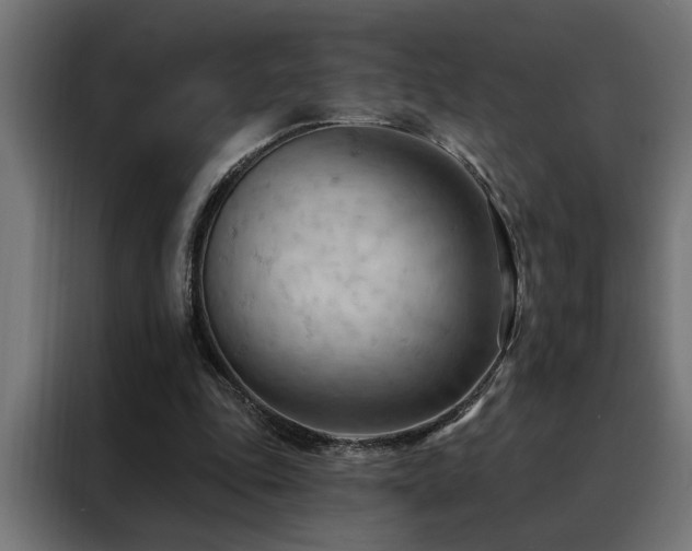 X0000088490343200705221431