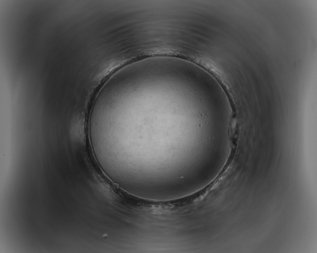 X0000088490345200705221431
