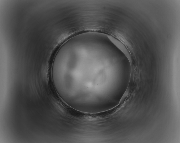X0000088490346200705221431