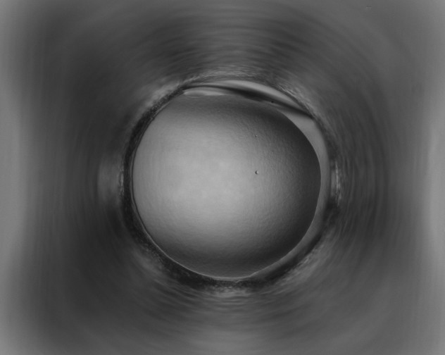 X0000088490348200705221431