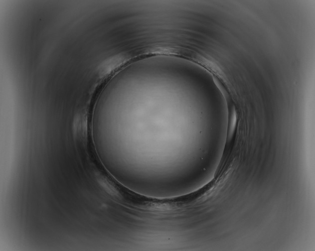 X0000088490349200705221431