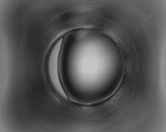 X0000088490350200705221431