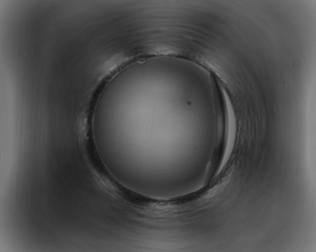 X0000088490351200705221431