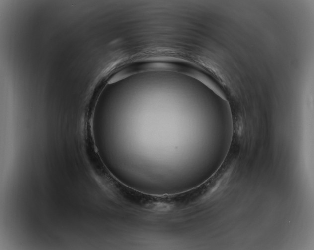 X0000088490352200705221431