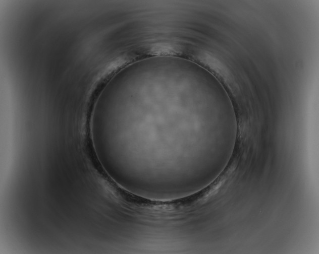 X0000088490353200705221431