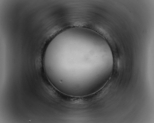 X0000088490354200705221431