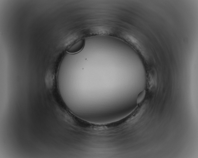 X0000088490355200705221432