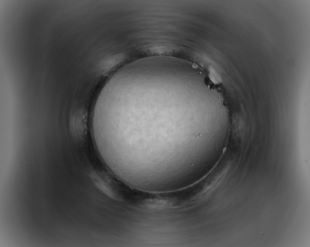 X0000088490356200705221432