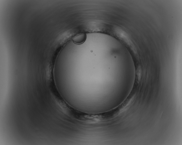 X0000088490359200705221432