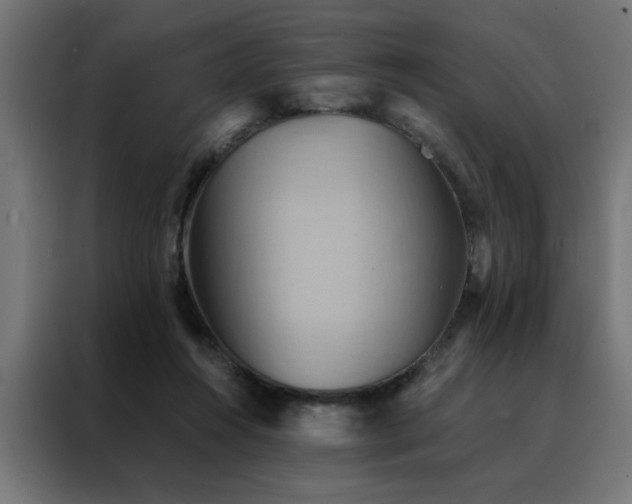 X0000088490360200705221432