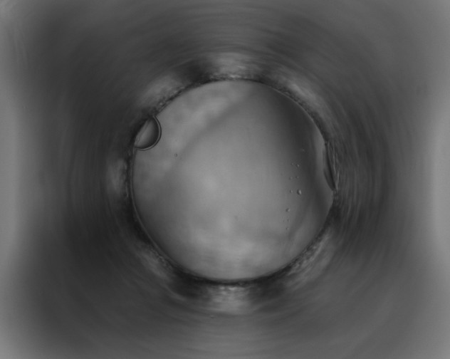 X0000088490361200705221432