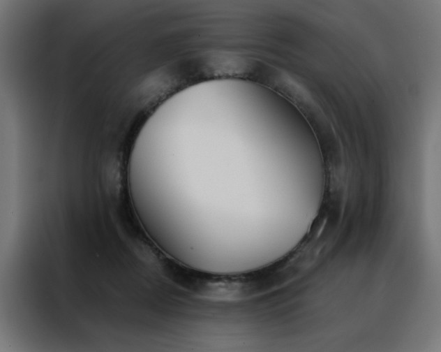 X0000088490362200705221432