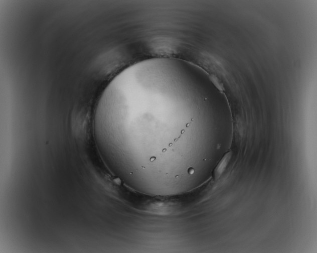 X0000088490364200705221432