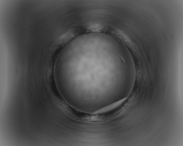 X0000088490365200705221432