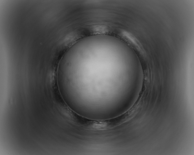 X0000088490369200705221432