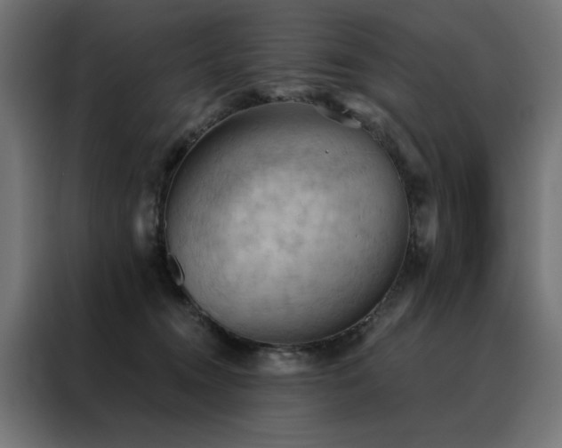 X0000088490372200705221432