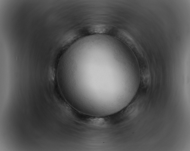 X0000088490374200705221432