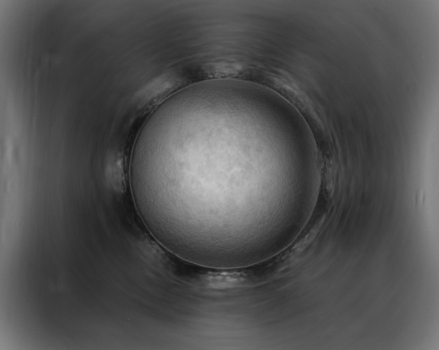 X0000088490378200705221432