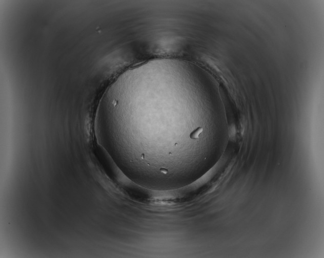 X0000088490380200705221432