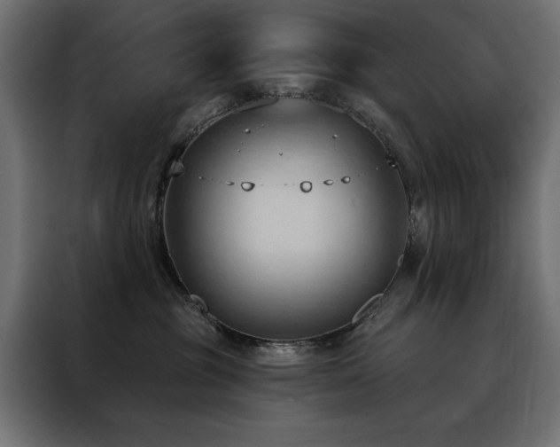 X0000088490381200705221432