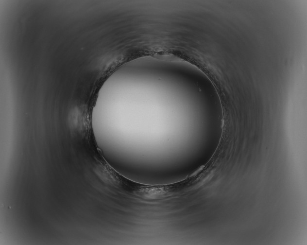 X0000088490384200705221432