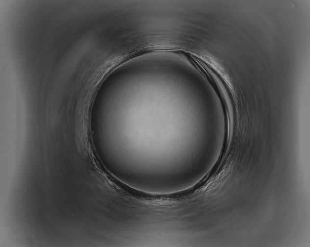 X0000088490385200705221431