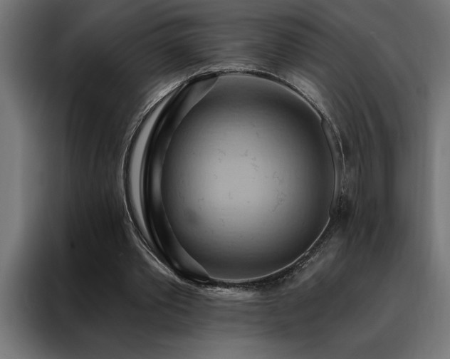 X0000088490389200705221431