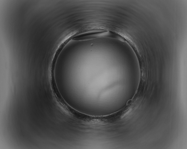 X0000088490390200705221431