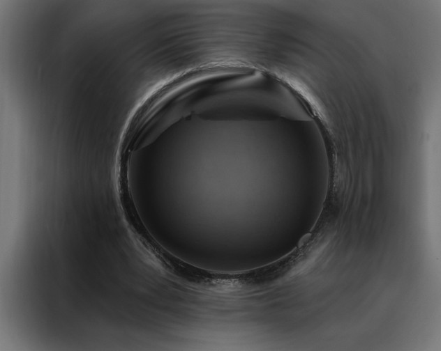 X0000088490391200705221431