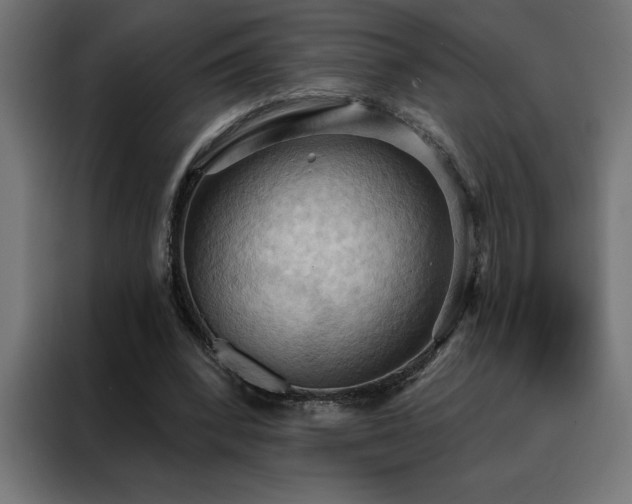 X0000088490392200705221431