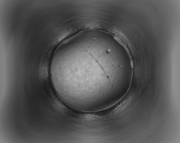 X0000088490393200705221431