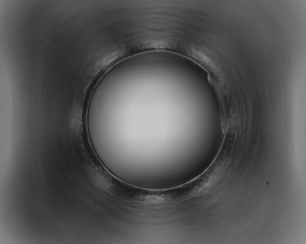 X0000088490394200705221431