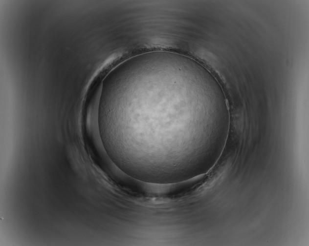X0000088490395200705221431