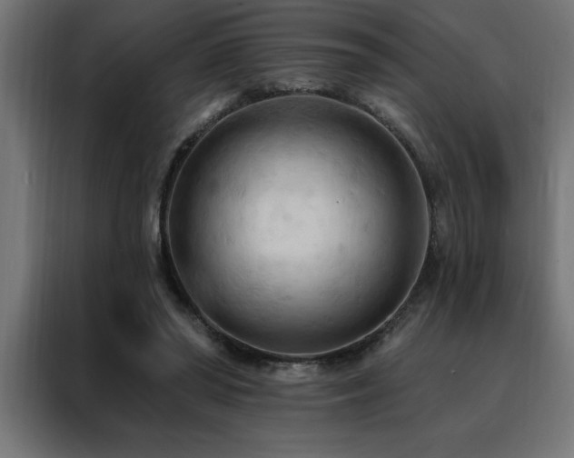 X0000088490398200705221431