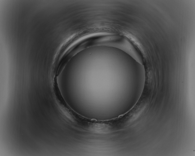X0000088490399200705221431