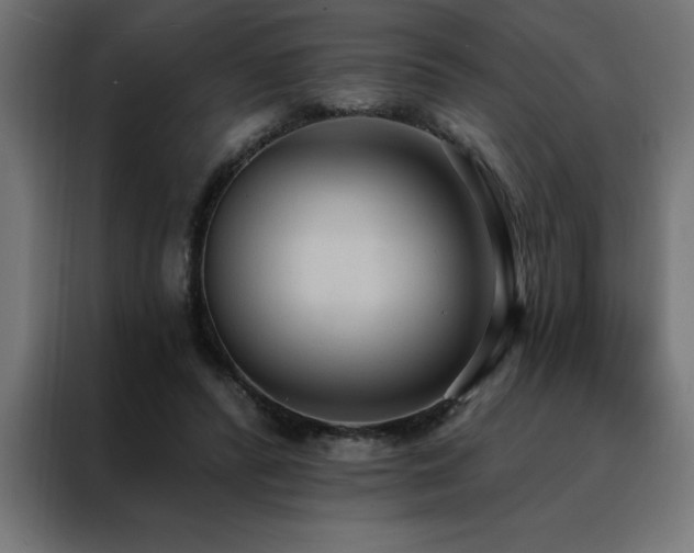 X0000088490400200705221431