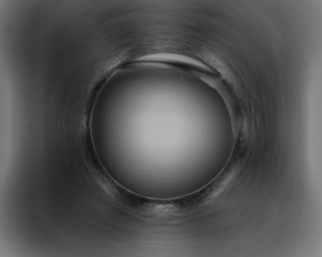 X0000088490401200705221431