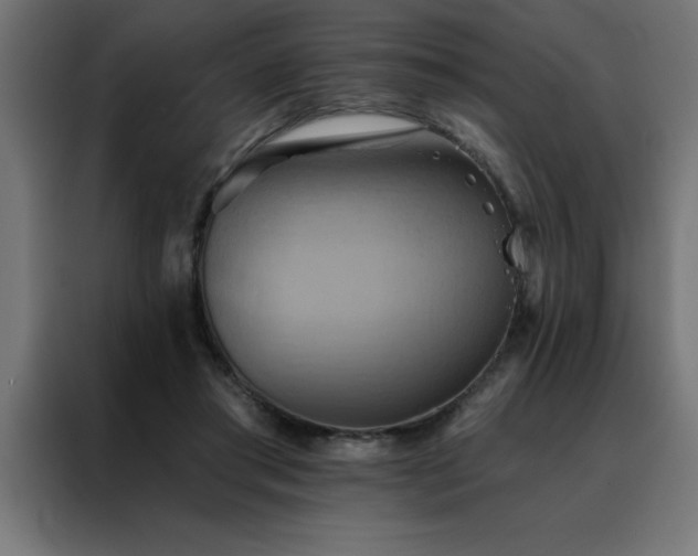 X0000088490405200705221431