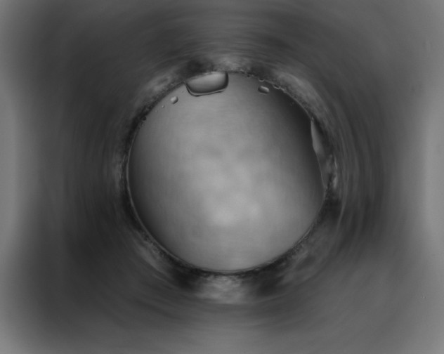 X0000088490409200705221431