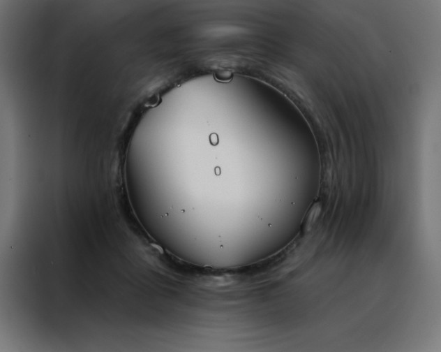 X0000088490411200705221431
