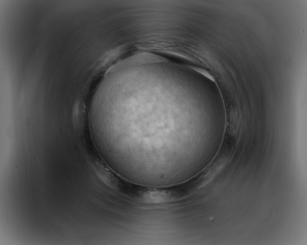 X0000088490413200705221431
