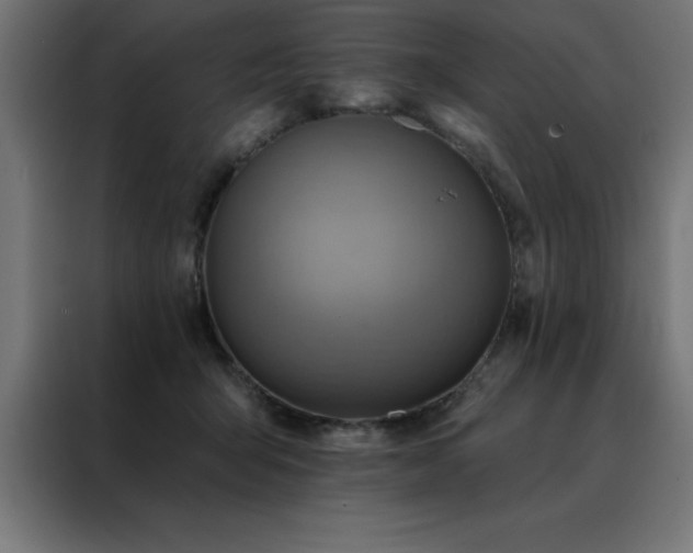 X0000088490415200705221431