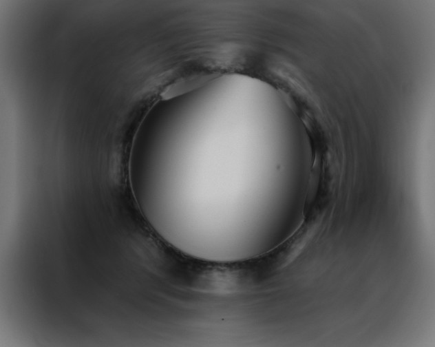X0000088490416200705221431
