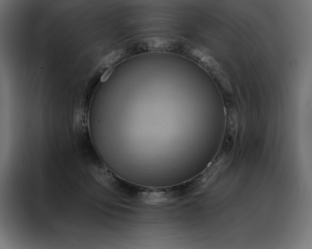 X0000088490419200705221431
