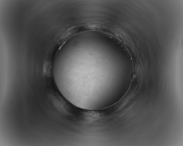 X0000088490421200705221431
