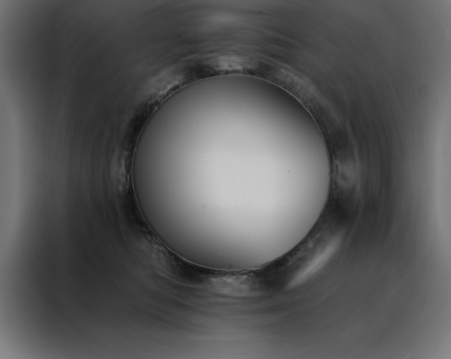 X0000088490422200705221431